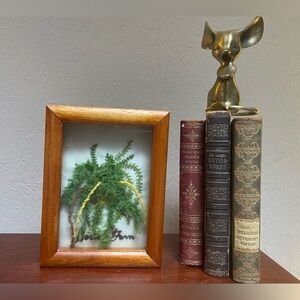Vintage Boston Fern Needlepoint